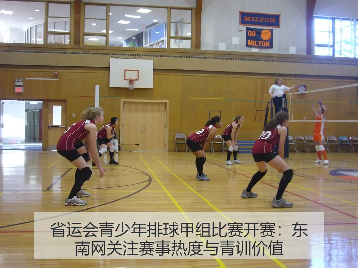 省运会青少年排球甲组比赛开赛：东南网关注赛事热度与青训价值